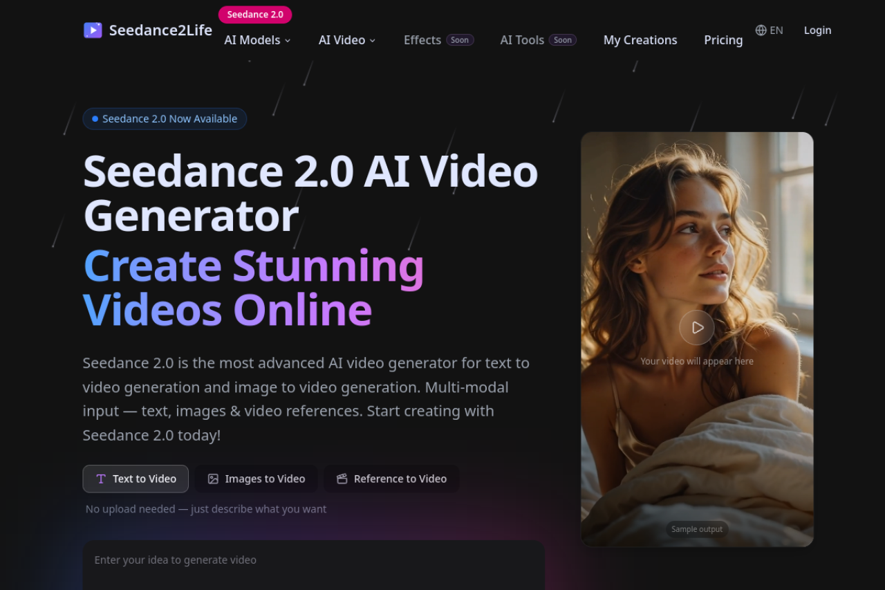 Seedance 网站截图