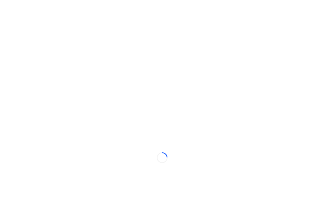 Locoy 网站截图