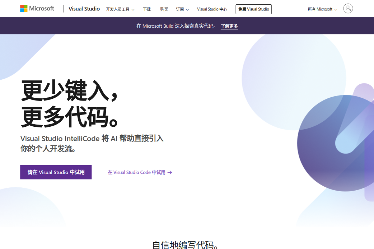 Visual Studio 网站截图
